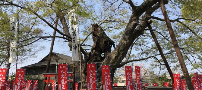 レゾナンスCafe特別企画　秩父今宮神社　龍神祭・水分神事参拝　開催報告